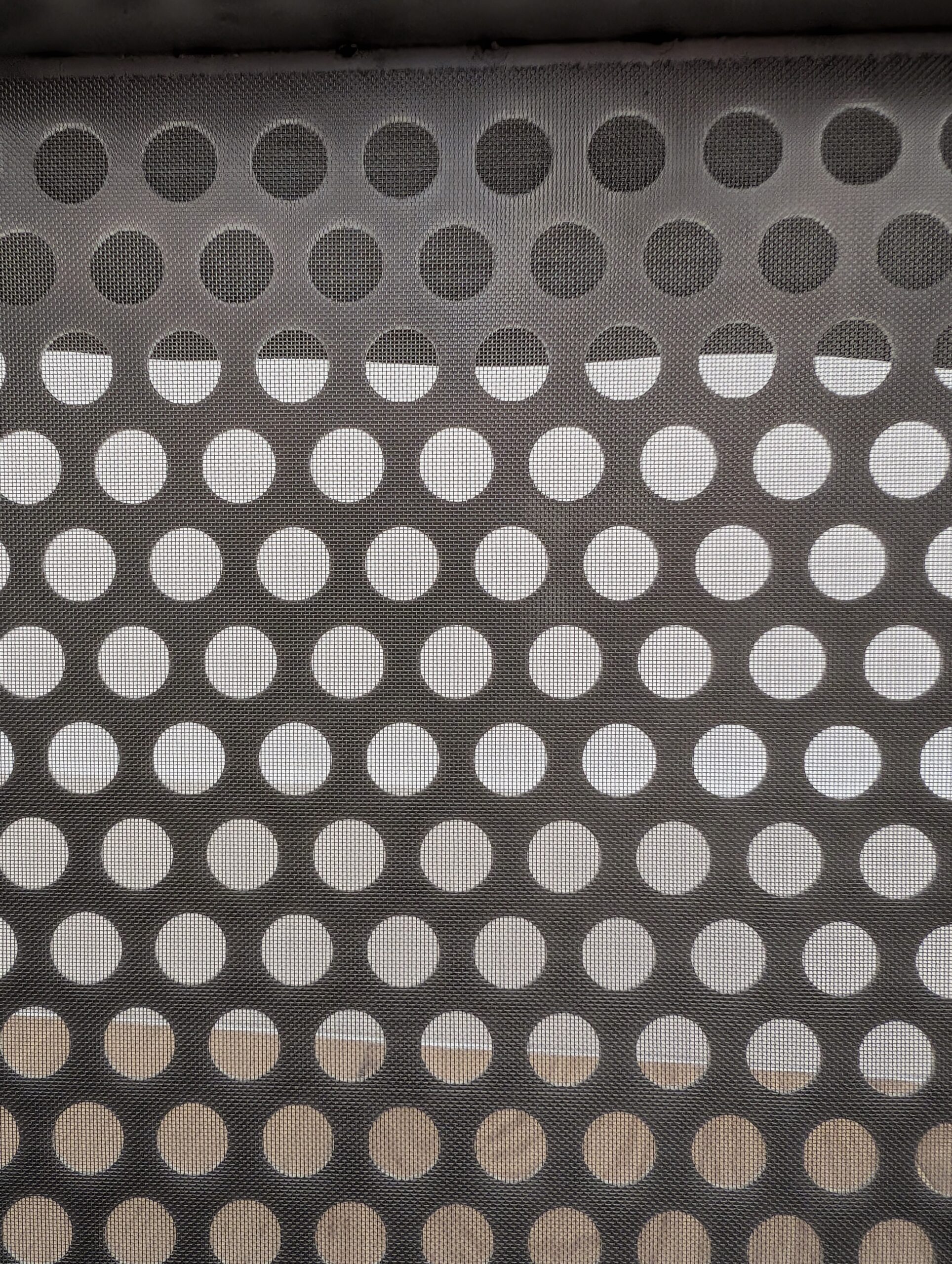 PXL_20260121_124254481